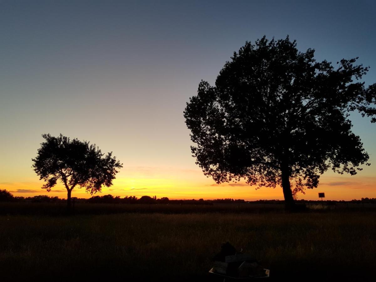 Fewo Abendrot Insel Poel Buitenkant foto